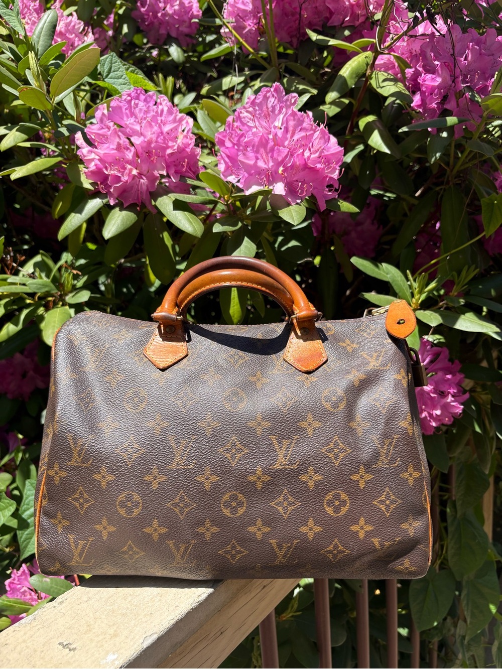 Louis Vuitton Monogram Satchel Handbag